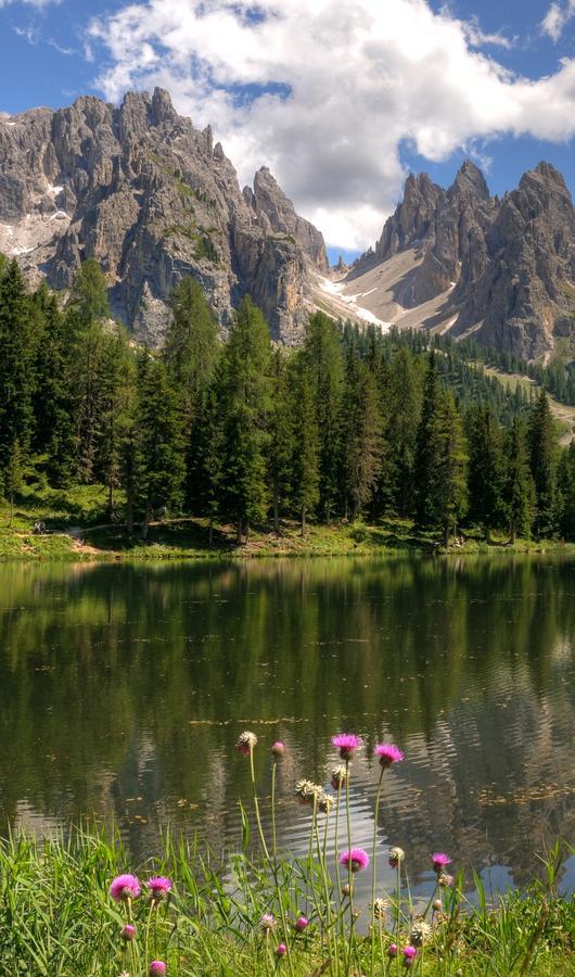 Hotel il Cardo San Vito di Cadore Esterno foto