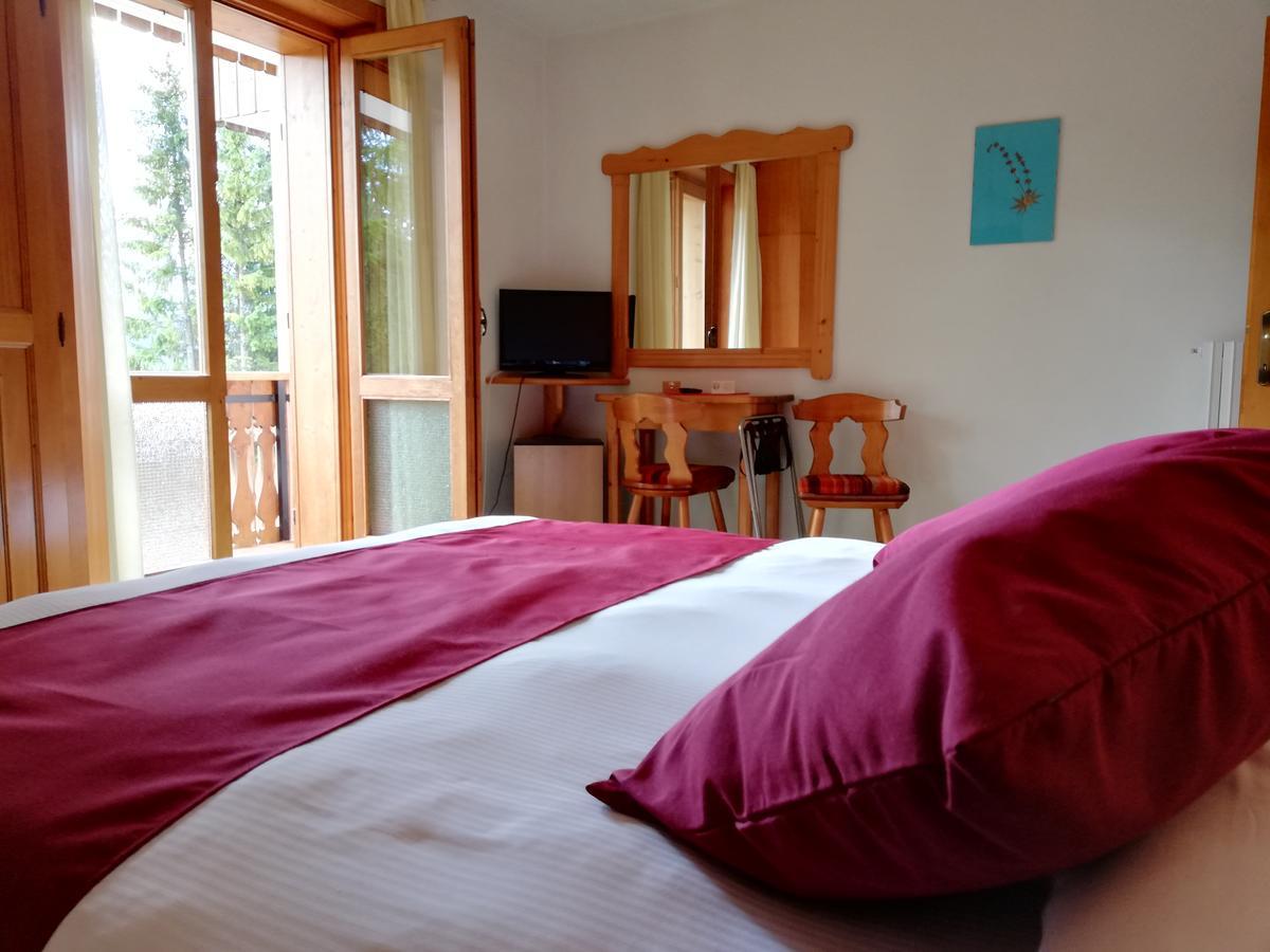 Hotel il Cardo San Vito di Cadore Esterno foto