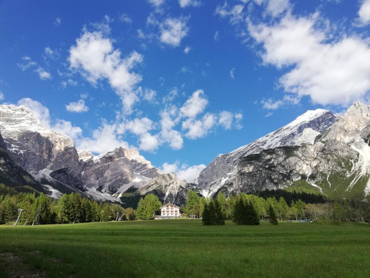 Hotel il Cardo San Vito di Cadore Esterno foto