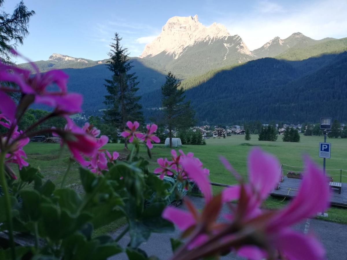 Hotel il Cardo San Vito di Cadore Esterno foto