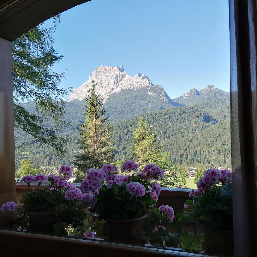 Hotel il Cardo San Vito di Cadore Esterno foto