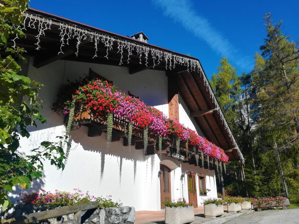 Hotel il Cardo San Vito di Cadore Esterno foto
